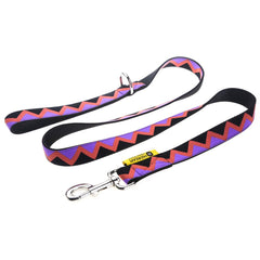 HiDREAM Rainbow Upgraded Dog Leash (Black)