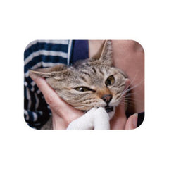 Mind Up Nyanko Care Fingers Toothbrush For Cats