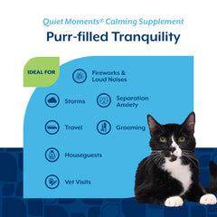 15% OFF: NaturVet Quiet Moments Calming Aid Plus Melatonin Soft Chew Supplement For Cats 60ct