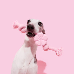 VETRESKA Cherry Blossom Knot Rope Dog Toy