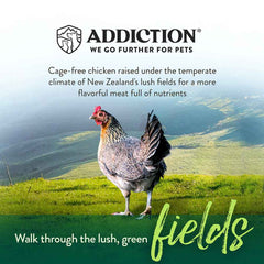 Addiction Chicken Supreme Grain-Free Adult Dry Cat Food 4lb