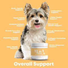 Altimate Pet 12 In 1 Multivitamin Dog Supplement Chews 250g