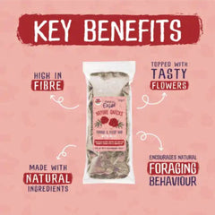 Burgess Excel Nature Snacks Forage & Feast Bar With Rose Hay Treat For Small Animals 60g