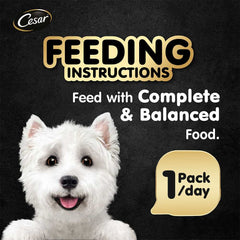 Cesar Roast Turkey with Vegetables Pate Tray Dog Food 100g