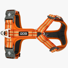 DOG Copenhagen Comfort Walk Air Dog Harness (Orange Sun)