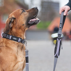 DOG Copenhagen Urban Explorer Dog Collar (Black)