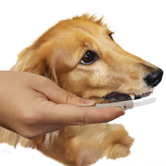 DoggyMan Gentle Dog Toothbrush