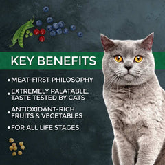 25% OFF: Fussie Cat Market Fresh Salmon & Chicken Recipe Grain-Free Dry Cat Food 10lb
