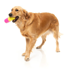 FuzzYard Chill Pill Interactive Treat Dog Toy