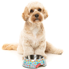 15% OFF: FuzzYard Easy Feeder Dog Bowl (You Drive Me Glazy)