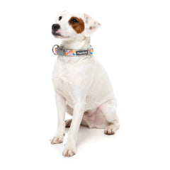 FuzzYard Fresh Zest Dog Collar