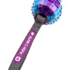 GiGwi Push To Mute Dumbbell Dog Toy (Purple/Blue)