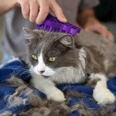 Kong Zoomgroom Cat Brush