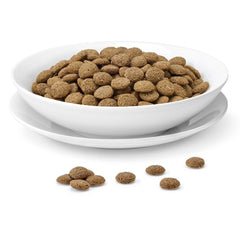 Marukan Clean Golden Hamster Food 300g