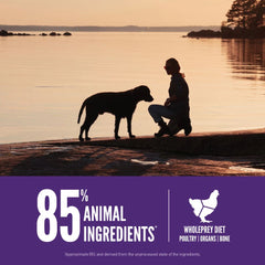 ORIJEN Adult Large Breed Grain-Free Dry Dog Food 11.4kg