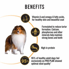 Pro Plan Medium Adult Essential Health Dry Dog Food