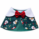 RuffCo Handcrafted Cape For Cats & Dogs (Green Snowman)