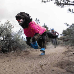 Ruffwear Hi & Light Trail Dog Shoes (Blue Pool)