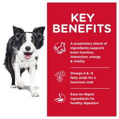 Science Diet Senior Vitality Adult 7+ Dry Dog Food
