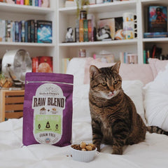 Stella & Chewy’s Freeze-Dried Raw Blend Turkey Chicken Duck Grain-Free Dry Cat Food