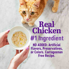 Wellness Appetizing Entrees Mousse Chicken Adult Pouch Cat Food 1.4oz
