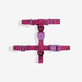 Zee.Dog Brain Lords of Zee.Town Dog H-Harness