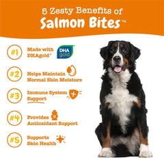 Zesty Paws Salmon Bites Salmon Flavor Dog Supplement Chews 90ct