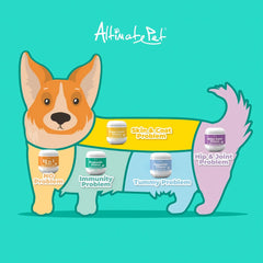 Altimate Pet Coat Care Dog Supplement Chews 250g