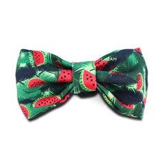 HiDREAM Profusion Bowtie for Cats & Dogs (Watermelon)