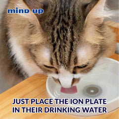 Mind Up Kenko Care Ion Plate For Dogs