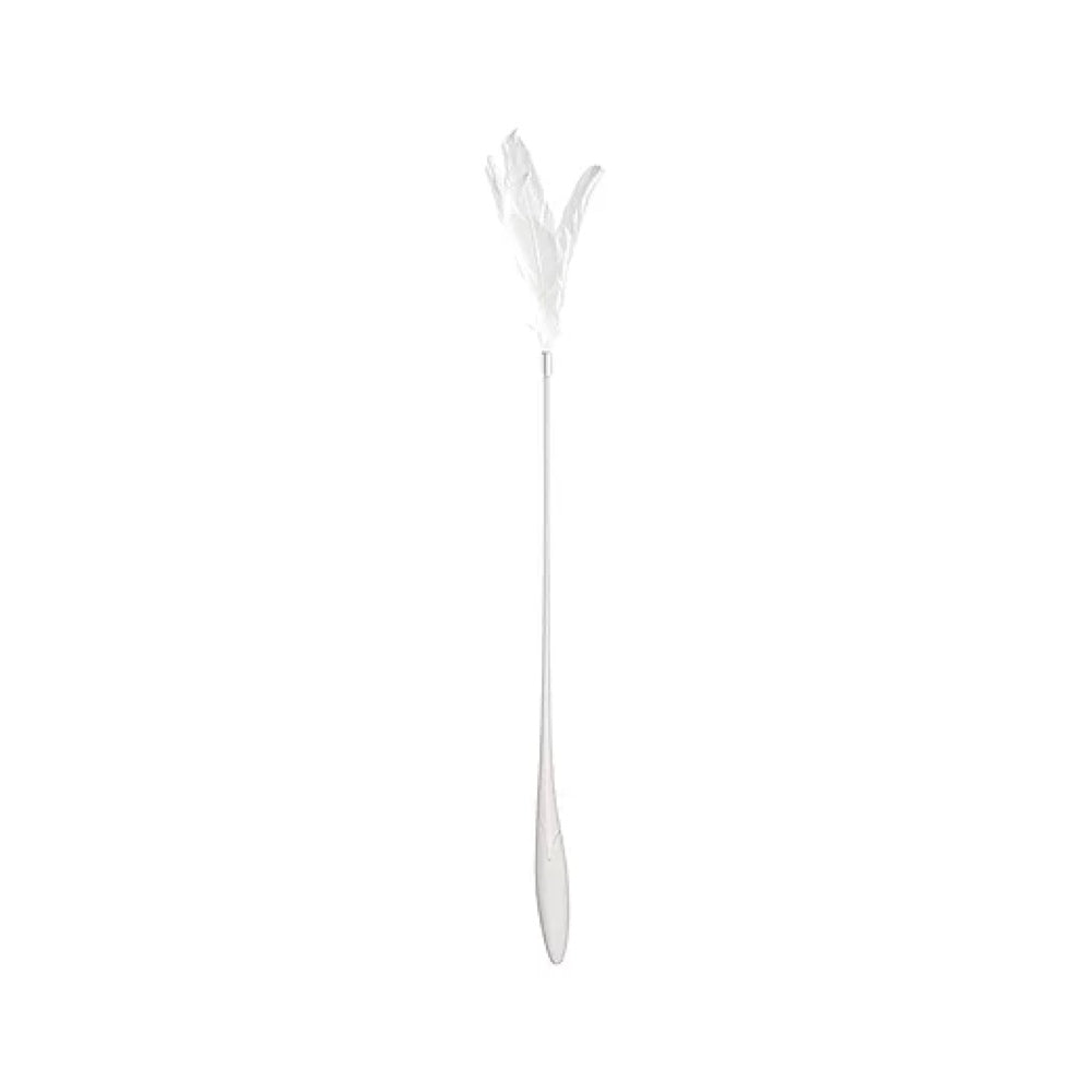 Pidan Extended Teaser Cat Wand Toy (Grey)