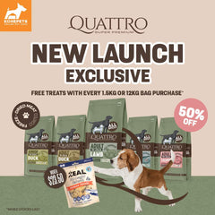 50% OFF: Quattro Lamb Adult All Breed No Grain Dry Dog Food