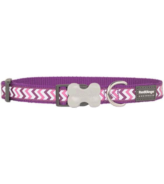 Red Dingo Reflective Ziggy Dog Collar (Purple)