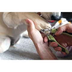 Safari Professional Stainless Steel Dog Nail Trimmer (Large)