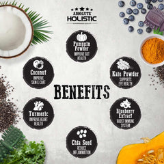12 FOR $12: Absolute Holistic Boost Pumpkin Grain-Free Dental Dog Chew 25g
