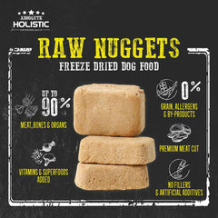 Absolute Holistic Raw Salmon Nuggets Complete Freeze Dried Dog Food 14oz