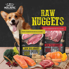 Absolute Holistic Raw Duck Nuggets Complete Freeze Dried Dog Food 14oz