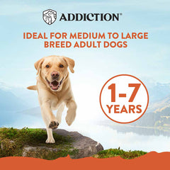 Addiction Mega Chicken Large Breed Adult Dry Dog Food 44lbs
