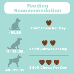 Altimate Pet 12 In 1 Multivitamin Dog Supplement Chews 250g