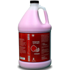 Bark 2 Basics Pomegranate Greek Yogurt Shampoo 16oz