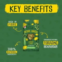 Burgess Excel Nature Snacks Luscious Leaves Treats For Small Animals 60g