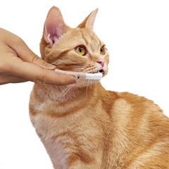 CattyMan Gentle Cat & Dog Toothbrush