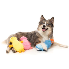 FuzzYard Rolly The Bed Bug Plush Dog Toy (Blue)