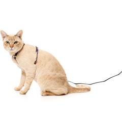 FuzzYard Cat Harness & Leash Walking Set (Caturday Night Fever)