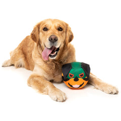 15% OFF: FuzzYard Doggoforce Toy (Rumble)