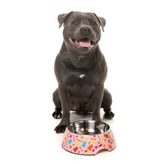 15% OFF: FuzzYard Easy Feeder Dog Bowl (Jelly Bears)