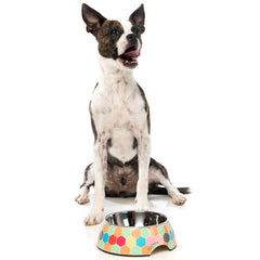 FuzzYard Easy Feeder Dog Bowl (The Hive)