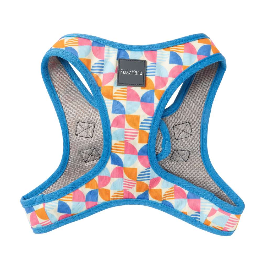 FuzzYard Fresh Zest Step-In Dog Harness