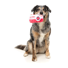 15% OFF: FuzzYard Oh Snap Camera Dog Toy