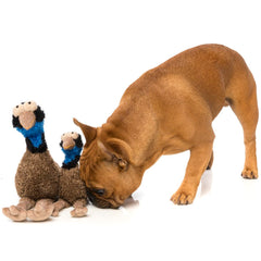 15% OFF: FuzzYard OZ The Emu Plush Dog Toy